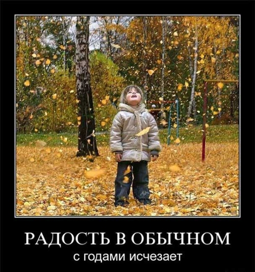 demotivator6
