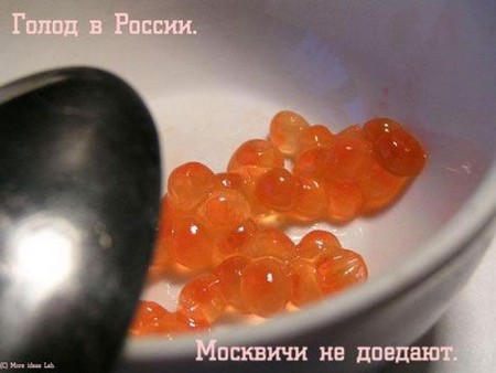 fotoprikol4