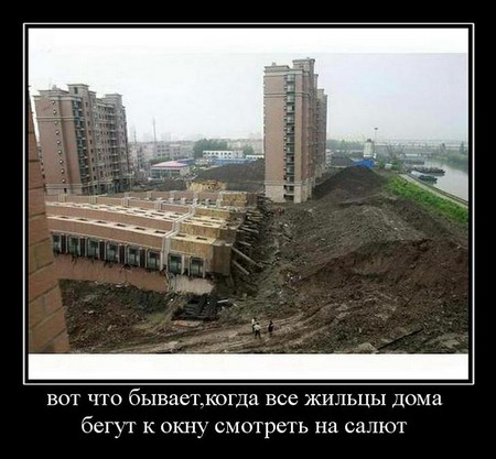 dny7